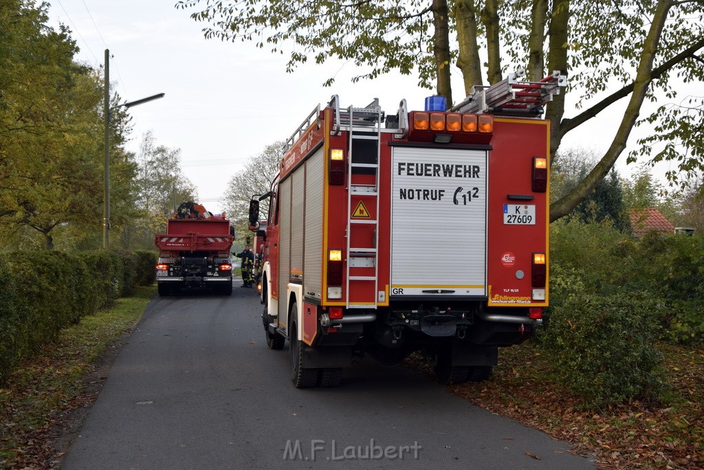 Feuer 1 brannten 3 Lauben Koeln Fuehlingen Kriegerhofstr P003.JPG - Miklos Laubert